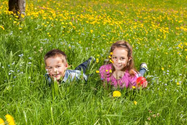 Bild aus der Galerie