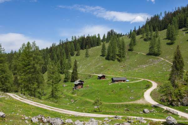 Mehr zu Gotzentalalm