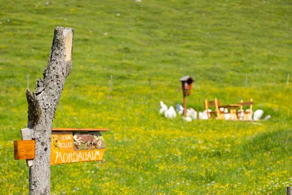 Bild aus der Galerie