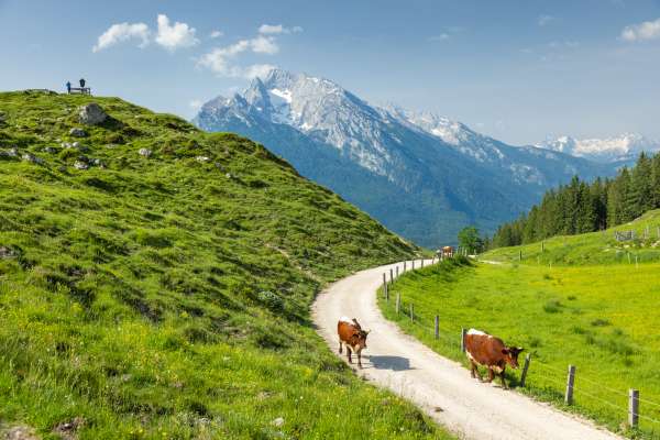 Bild aus der Galerie