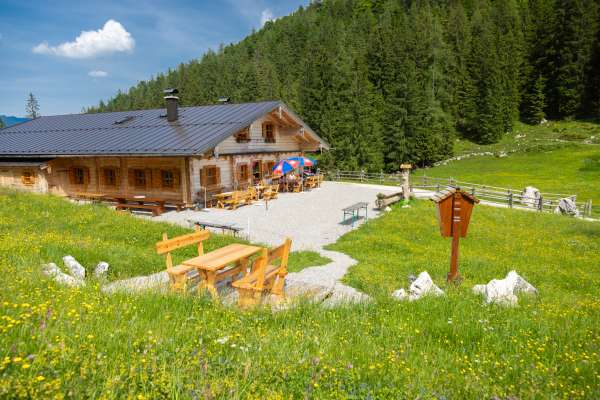 Bild aus der Galerie