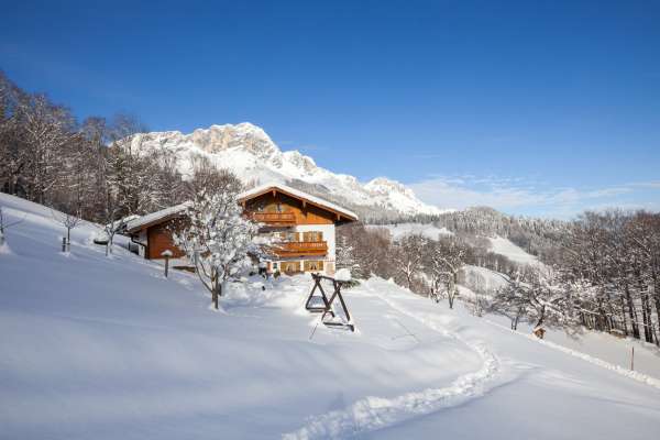 Bild aus der Galerie