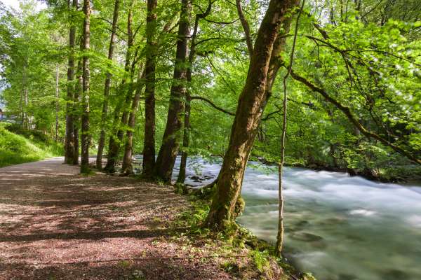 Mehr zu Königsseer Fußweg