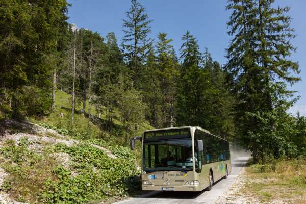 Mehr zu Almerlebnisbus Ramsau
