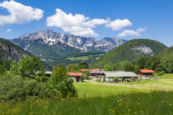 Bild aus der Galerie