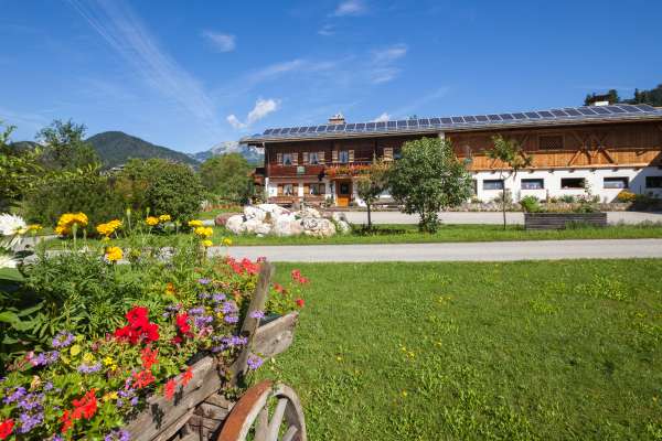 Bild aus der Galerie