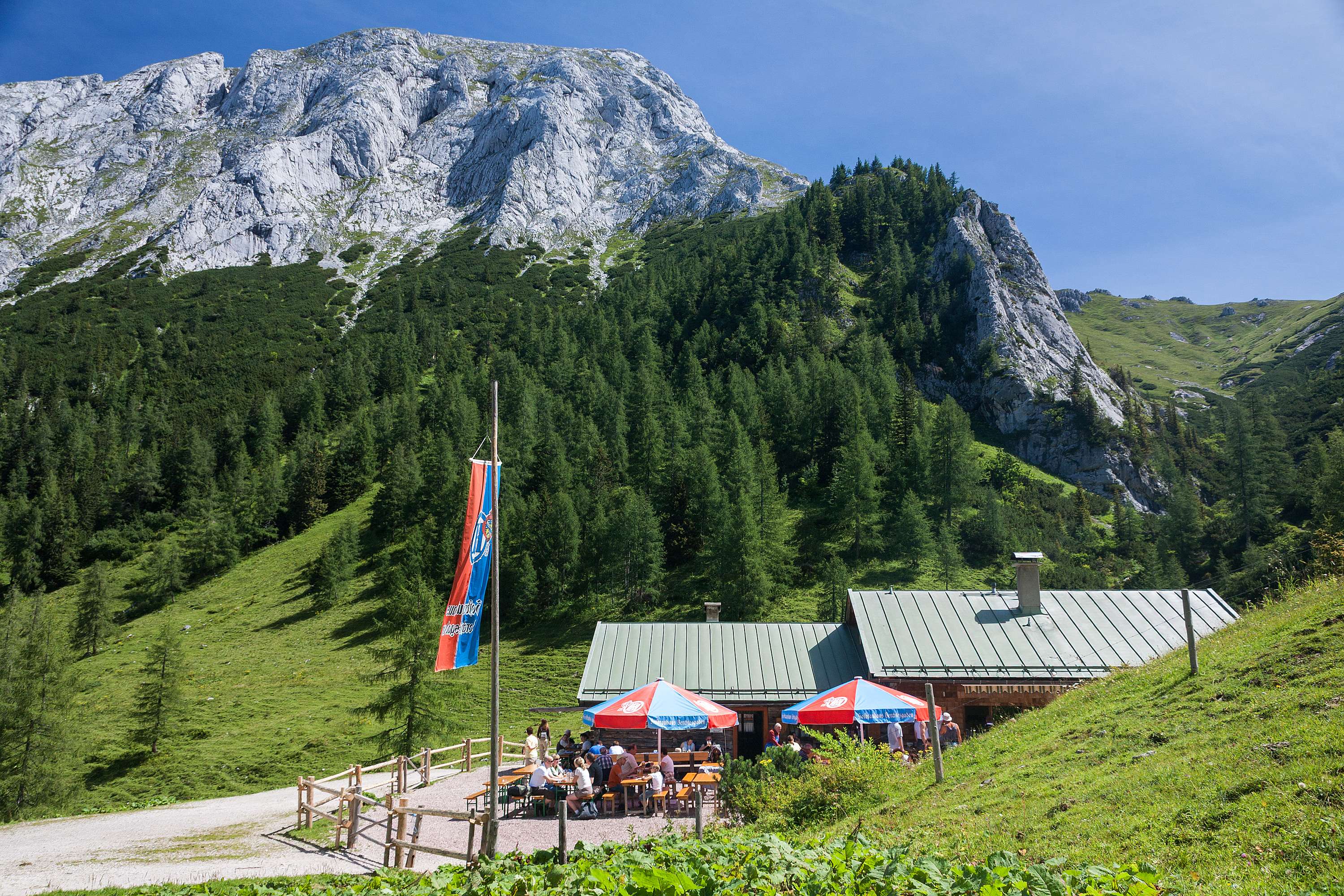 Mitterkaseralm - Jenner