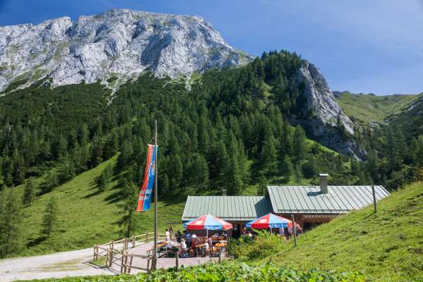 Mehr zu Mitterkaseralm - Jenner