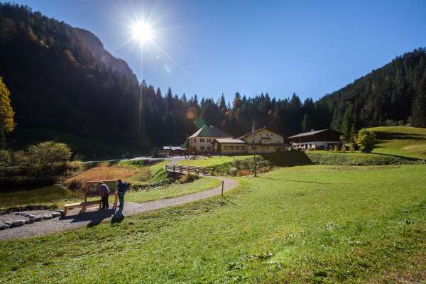 Bild aus der Galerie