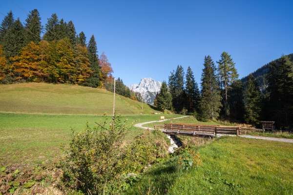 Bild aus der Galerie