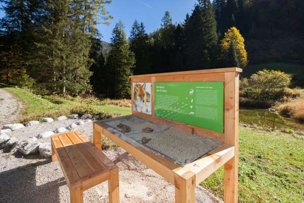 Bild aus der Galerie