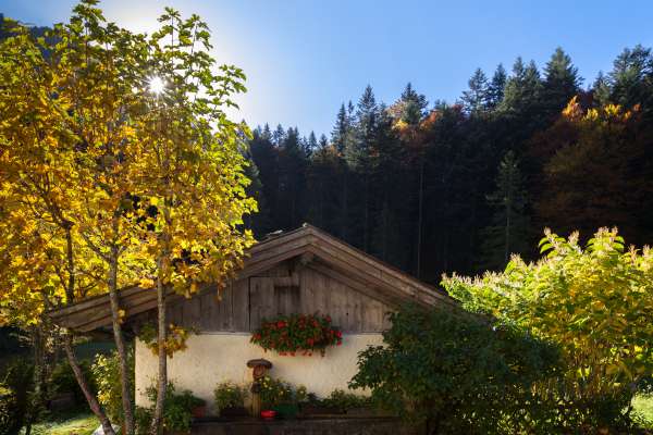 Bild aus der Galerie