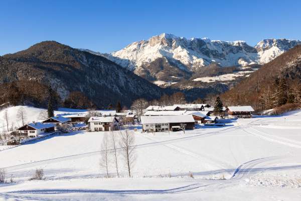 Bild aus der Galerie