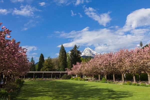 Mehr zu Kurgarten Berchtesgaden