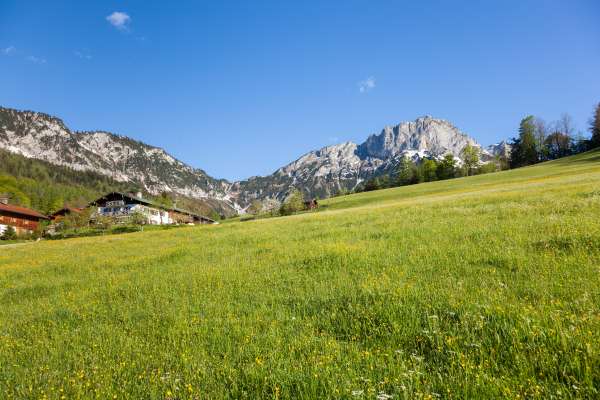 Bild aus der Galerie