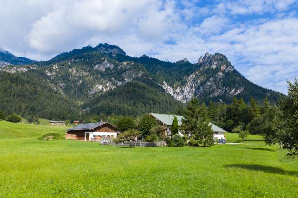 Bild aus der Galerie