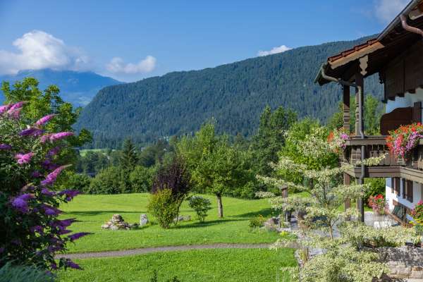 Bild aus der Galerie