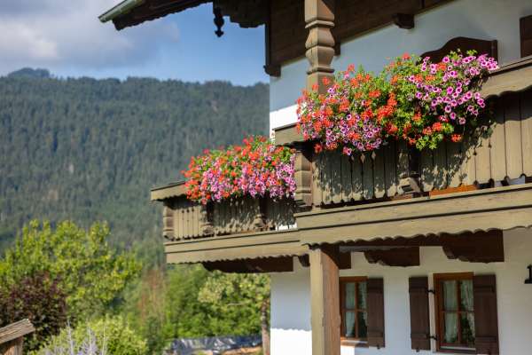 Bild aus der Galerie