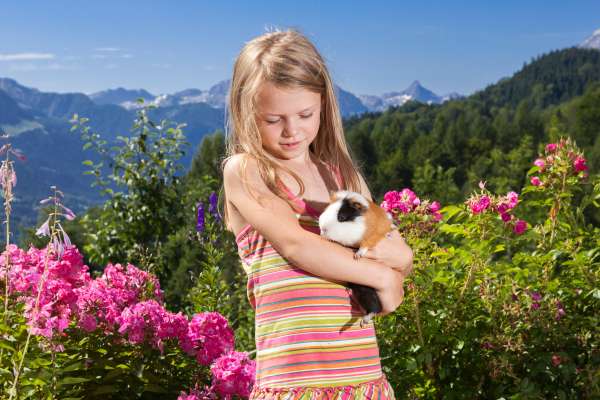 Bild aus der Galerie