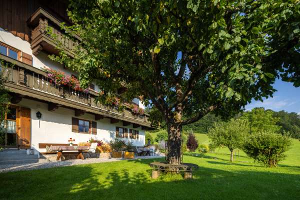 Bild aus der Galerie