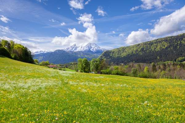 Bild aus der Galerie