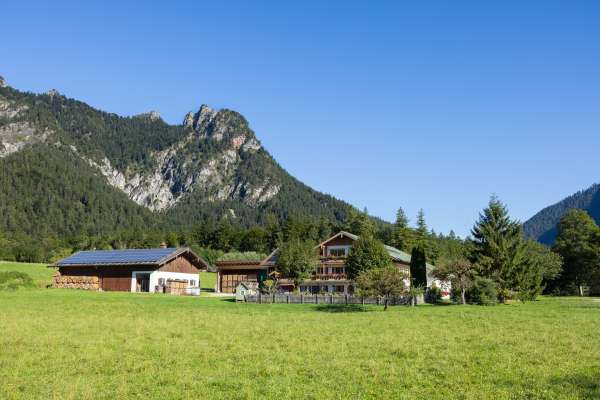 Bild aus der Galerie