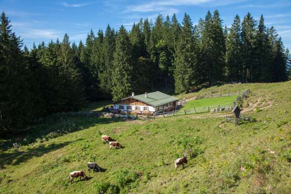 Mehr zu Wasserfallalm