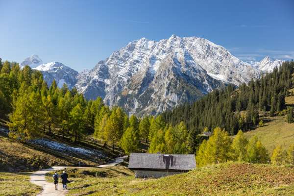 Mehr zu Königsbergalm