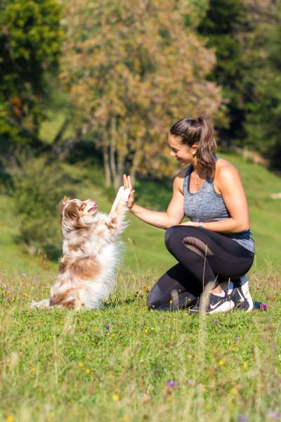 Eine Frau in Sportkleidung trainiert mit ihrem Hund auf einer Wiese und gibt ihm ein High-Five, während der Hund auf den Hinterbeinen steht