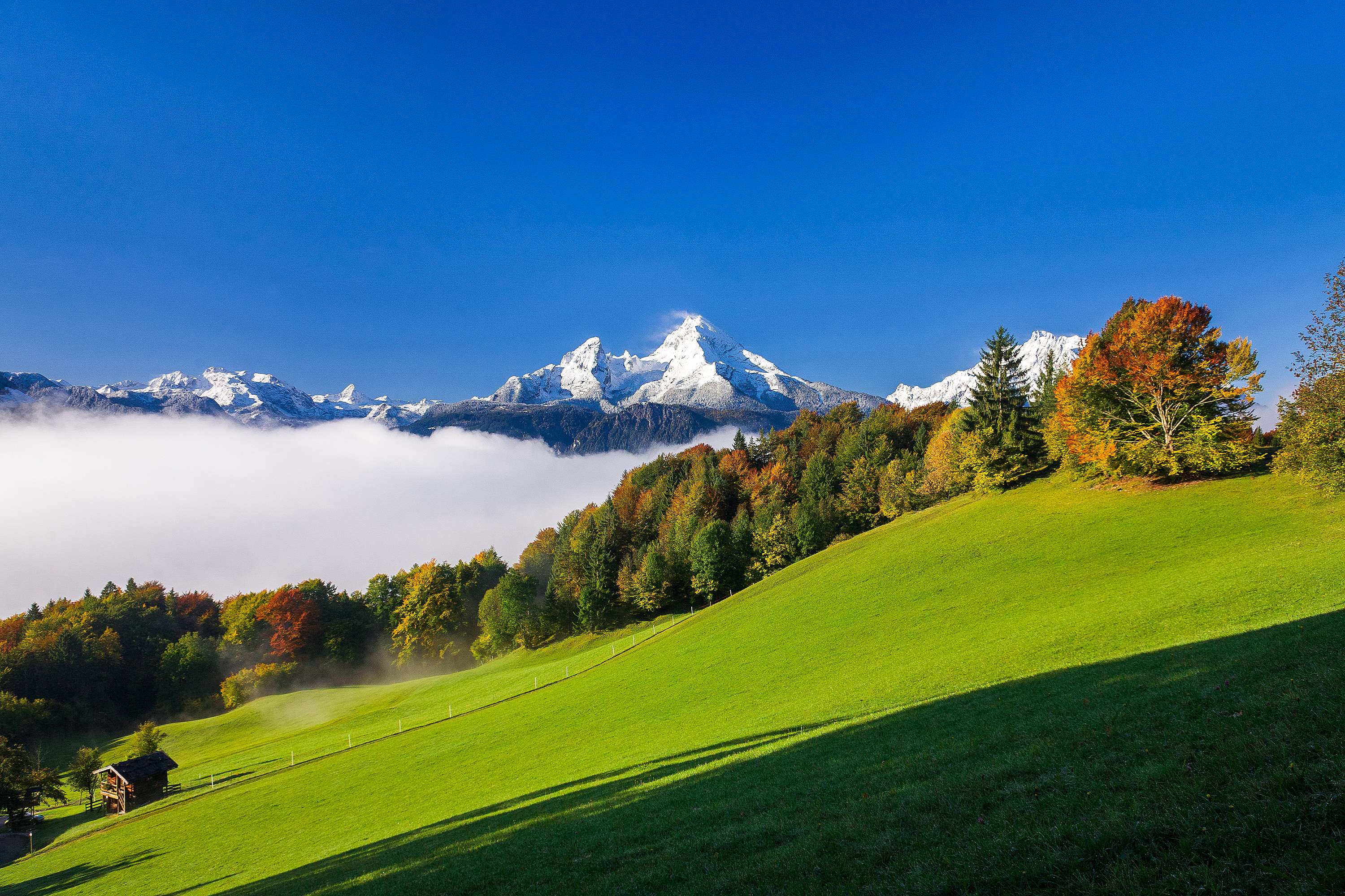 Blick von der Marxenhöhe zum Watzmann mit schneebedeckten Gipfeln über einer Nebelschicht, saftigen Almwiesen im Vordergrund und herbstlich gefärbten Wäldern unter blauem Himmel