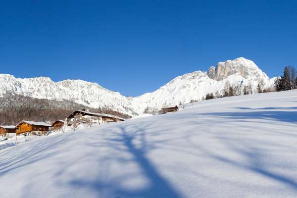 Bild aus der Galerie