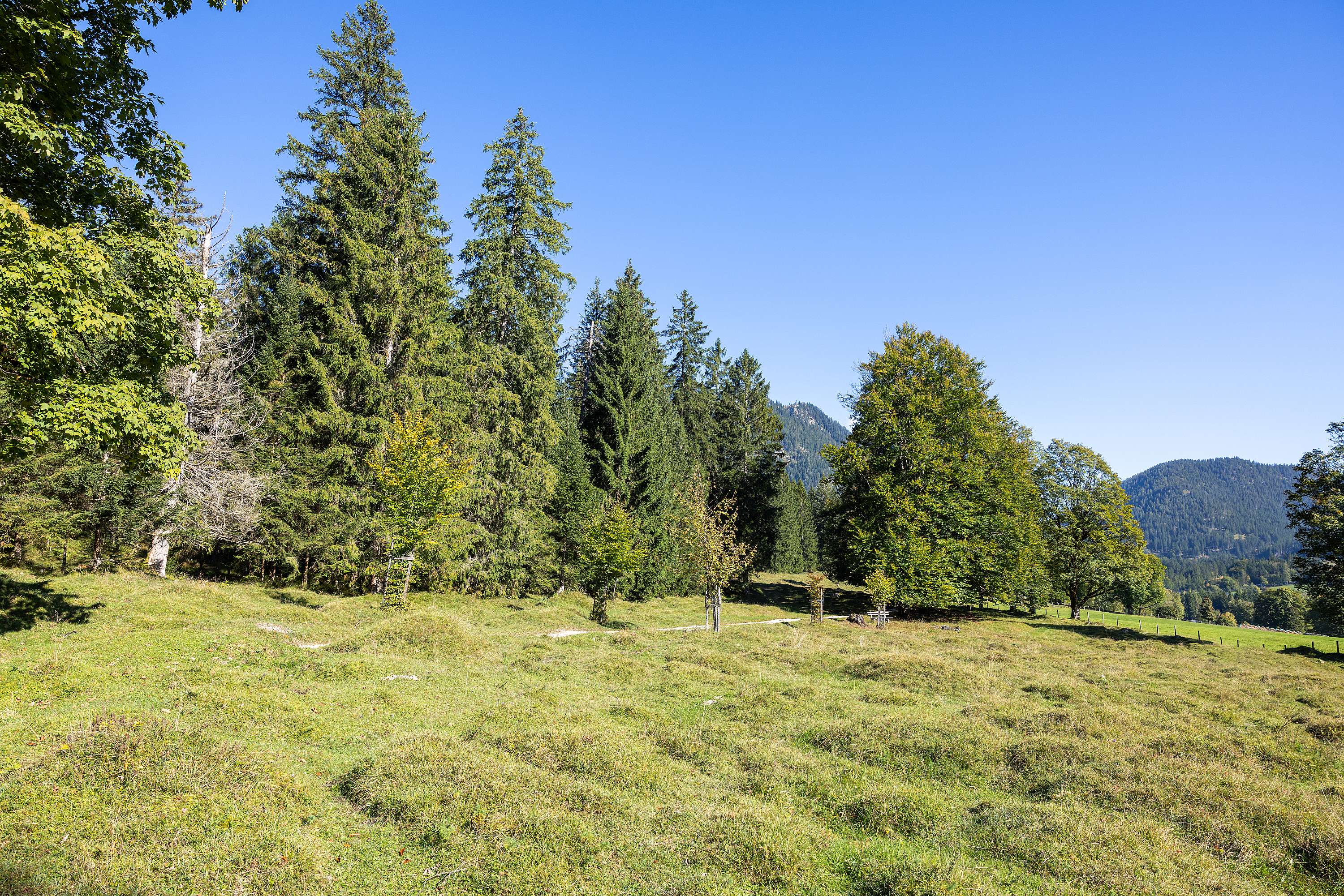 Almerlebnisweg Ramsau