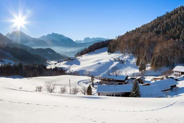 Bild aus der Galerie