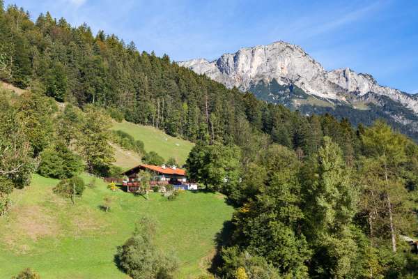 Bild aus der Galerie