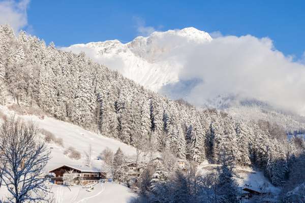 Bild aus der Galerie