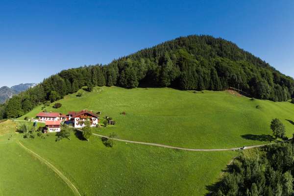 Bild aus der Galerie