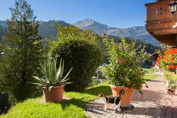 Bild aus der Galerie