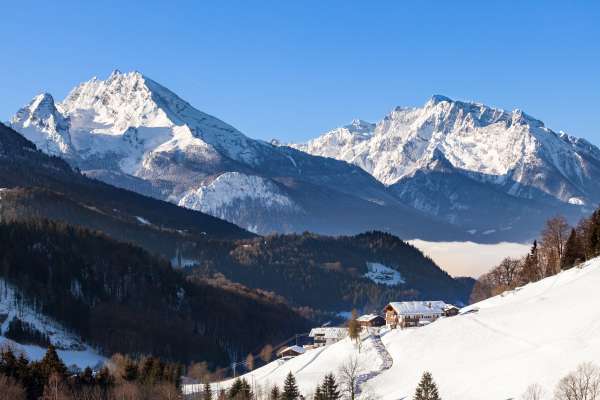 Bild aus der Galerie