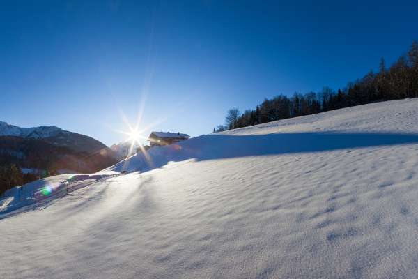 Bild aus der Galerie