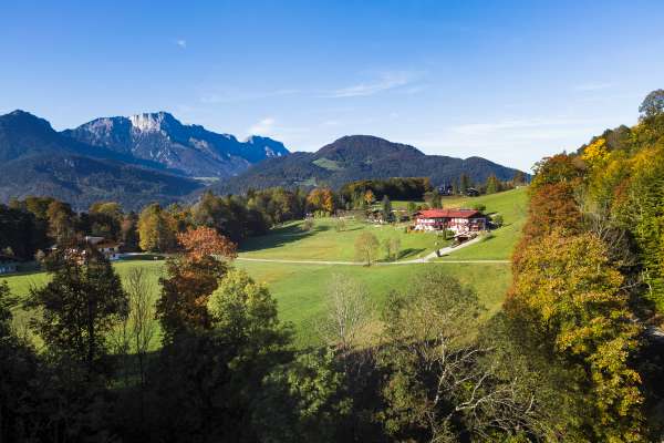 Bild aus der Galerie