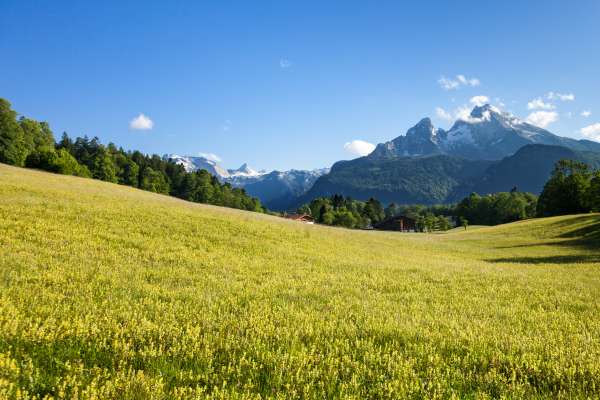 Bild aus der Galerie