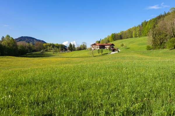 Bild aus der Galerie