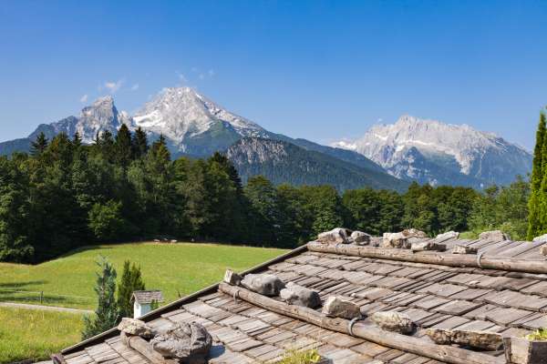 Bild aus der Galerie