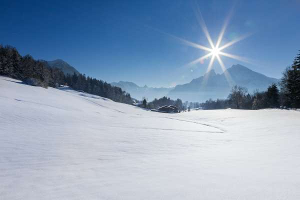 Bild aus der Galerie