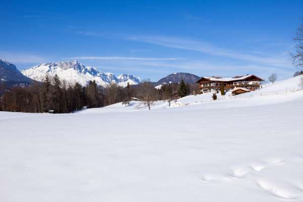 Bild aus der Galerie