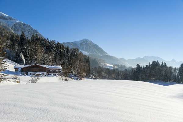 Bild aus der Galerie