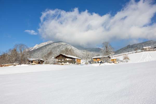 Bild aus der Galerie