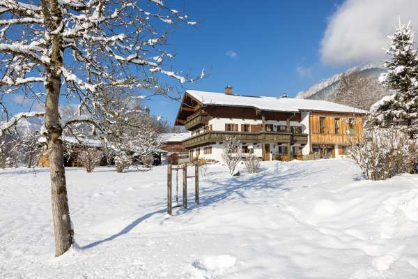 Bild aus der Galerie