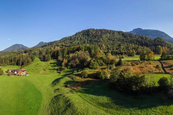 Bild aus der Galerie