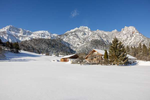 Bild aus der Galerie